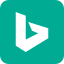 Icon 10