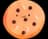 Cookie