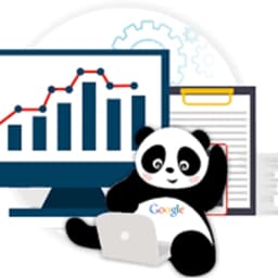 Local SEO visualization showing map interface across devices