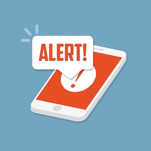 Alert