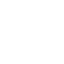 PPC Audits