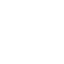 Icon 0